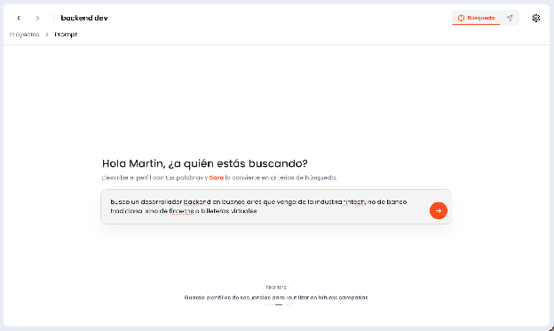 Chat de Sara con la descripción del perfil que se busca